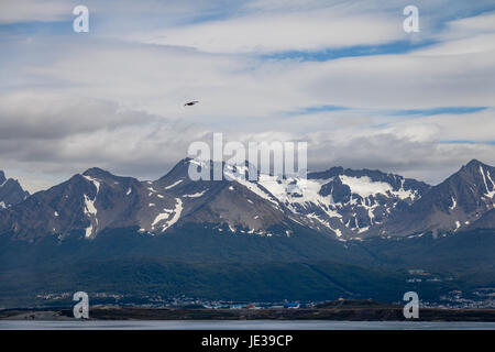 Skua cileno Bird volare sulle montagne nel Canale di Beagle - Ushuaia, Tierra del Fuego, Argentina Foto Stock