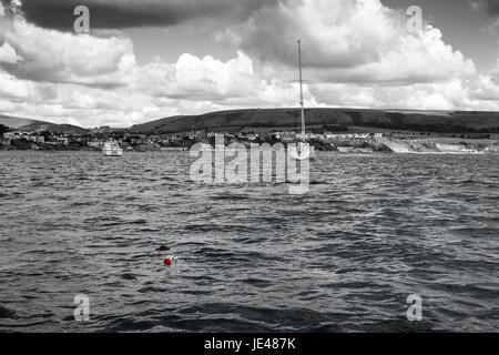 Immagine in bianco e nero di Swanage Bay sul mare, fiori galleggiante in acqua a colori Foto Stock