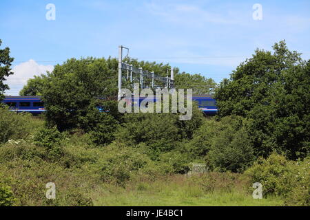 Una velocità elevata lampeggia in treno attraverso uno spazio nel verde lungo un terrapieno sotto tutti appena installata attrezzatura della linea aerea in posizione rurale. Foto Stock