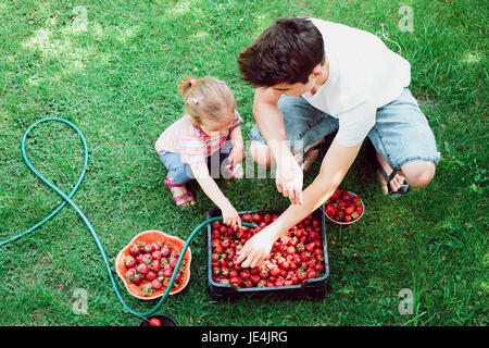 I fratelli lavare le fragole appena raccolto in un giardino Foto Stock