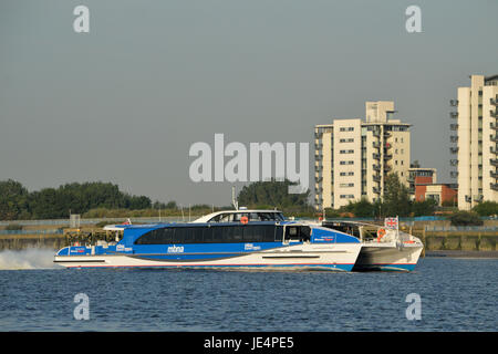 Clipper di mercurio la nuova aggiunta alla MBNA Thames Clippers flotta rende da nubile di arrivo a Londra Foto Stock