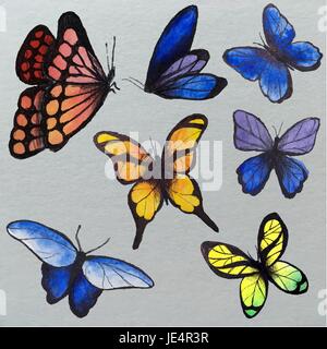 Serie di acquerelli di farfalle, illustrazione vettoriale. Raccolta del disegno a mano delle farfalle. Illustrazione Vettoriale