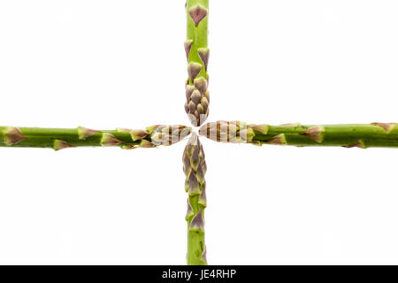 Quattro gli asparagi verdi lance allineate lungo la direzione orizzontale e verticale degli assi di immagine sono sagomando una croce. Tutti e quattro i suggerimenti sono riuniti al centro del piano di immagine. Origine vegetale isolato su bianco. Foto Stock