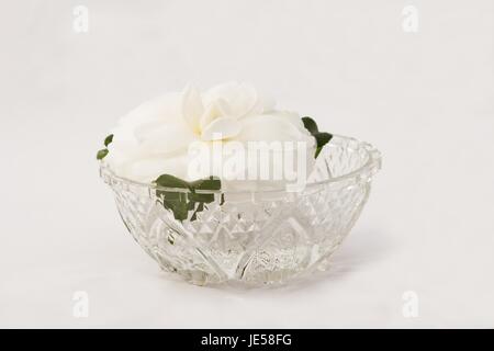 Camellia japonica nella ciotola su sfondo bianco Foto Stock