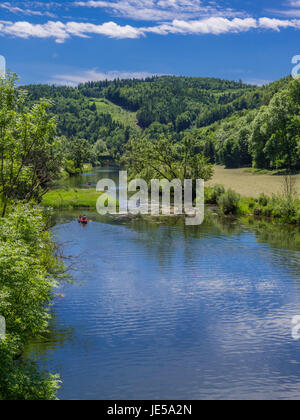 Fiume Danubio vicino a Thiergarten sul Danubio superiore Valle, Svevo, Baden Wuerttemberg, Germania, Europa Foto Stock