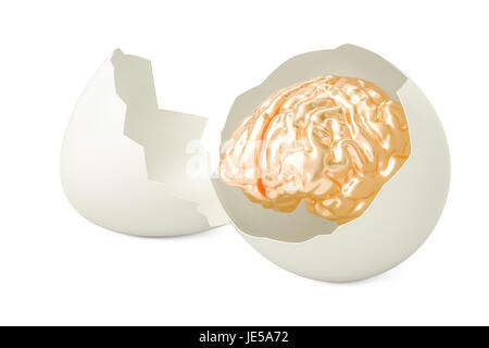 Golden Brain all'interno di uovo, 3D rendering isolati su sfondo bianco Foto Stock