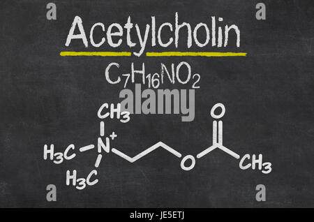 Schiefertafel mit der chemischen Formel von Acetylcholin Foto Stock