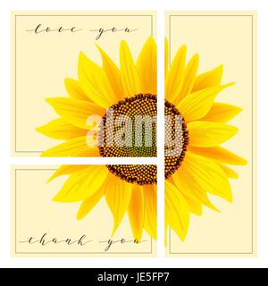 Set di carte con parole di amore e vi ringrazio, girasole sullo sfondo. 3 in 1 poster, invito saluto, business card. Per la decorazione, packi Illustrazione Vettoriale
