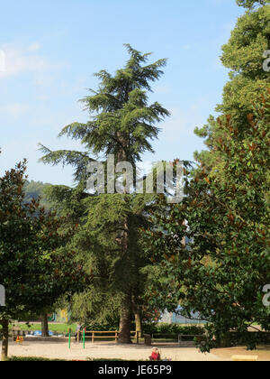 L'immagine intitolata "20130831Zeder Staden" rappresenta probabilmente una fotografia o una scena relativa a Zeder Staden, un luogo o un evento. Sono necessari ulteriori dettagli per chiarire il contesto specifico, ma il titolo suggerisce un possibile riferimento geografico o storico a una posizione o a un momento significativo catturato nell'immagine. Foto Stock