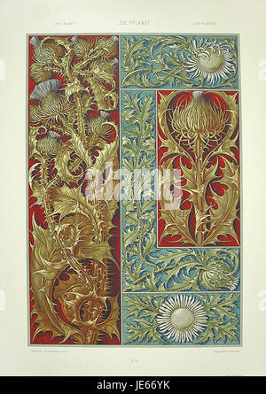 L'immagine raffigura l'opera d'arte di Anton Seder con i cardo, che cattura le complessità dettagliate della pianta e della sua struttura. Il lavoro di Seder enfatizza l'illustrazione botanica e la bellezza naturale della vita vegetale. Foto Stock