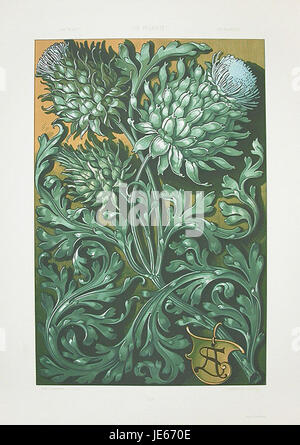 Questa è un'opera d'arte di Anton Seder con carciofi. Seder, noto per le sue intricate illustrazioni botaniche, mostra la bellezza dettagliata di questa pianta commestibile, evidenziandone sia la struttura che le qualità estetiche. Foto Stock