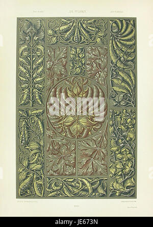 Questa opera d'arte, 'Garden Pea' di Anton Seder, è un'illustrazione botanica che mostra l'uso di una vera pittura d'oro, che mostra la competenza dell'artista nel combinare natura e tecnica artistica. Foto Stock