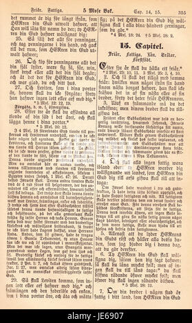 Una pagina della "Biblia Fjellstedt i", pubblicata nel 1890, che mostra una traduzione svedese della Bibbia con un significato storico e religioso. Foto Stock