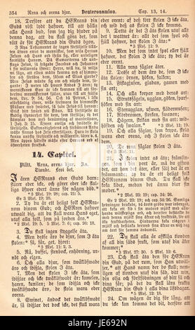 La "Biblia Fjellstedt i" è un'edizione del 1890 di una traduzione biblica di Fjellstedt, nota per il suo significato storico e l'impatto sulla letteratura religiosa del suo tempo. Foto Stock