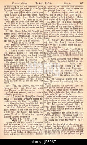 Biblia Fjellstedt i è un'edizione biblica del XIX secolo, stampata nel 1890, che offre una traduzione svedese delle Scritture cristiane. Questa versione riflette le preferenze linguistiche e teologiche del tempo, rendendolo un importante testo storico nella letteratura religiosa svedese. Foto Stock