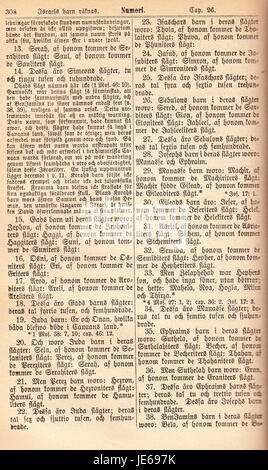 La "Biblia Fjellstedt i" del 1890 è una traduzione biblica storica che mette in evidenza testi religiosi significativi. Questa immagine della 318esima pagina mostra contenuti importanti all'interno di questa opera religiosa storica. Foto Stock