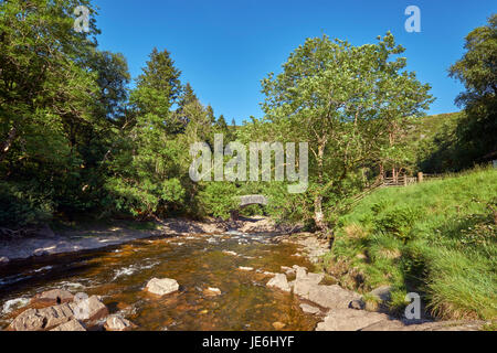 Ponte stradale sul fiume Elan sotto Pen y Garreg dam. Elan Valley, vicino Rhayader, POWYS, GALLES. Foto Stock