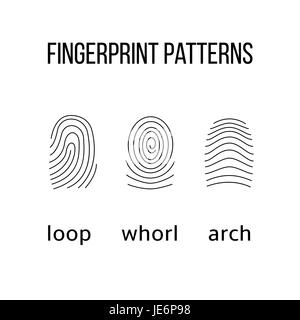 Tre tipi di impronte digitali su sfondo bianco. Illustrazione Vettoriale