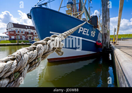 Germania, SCHLESWIG-HOLSTEIN, Pellworm, porto, investitore, peschereccio, Foto Stock