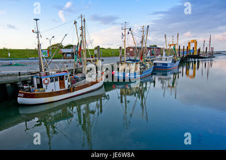 Germania, SCHLESWIG-HOLSTEIN, Pellworm, porto, investitore, peschereccio, Foto Stock