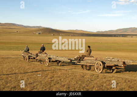 In Mongolia e in Asia centrale, provincia Arkhangai, nomade, yak, carrelli, portano in legno, Foto Stock
