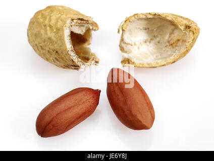 Arachidi, Arachis hypogaea, frutti, sfondo bianco Foto Stock