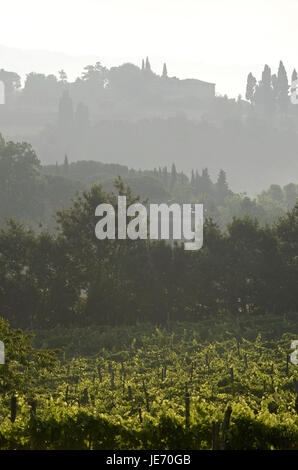 L'Italia, Toscana, Val d'Elsa, Monteriggioni, Foto Stock