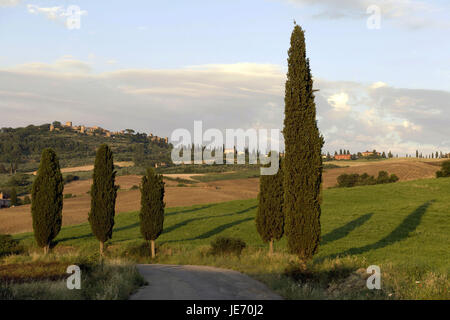 L'Italia, Europa, Toscana, Val d'Orcia, regione di Pienza e Monticchiello, cipressi nel paesaggio, Foto Stock