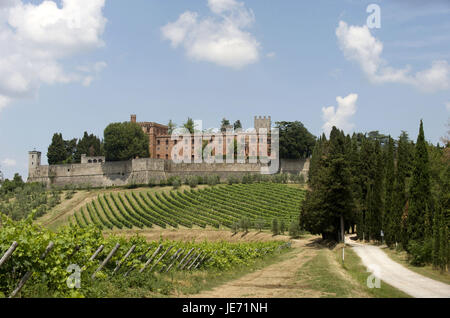 L'Italia, Toscana, regione Chianti, vista sul Castello Tu Brolio, Foto Stock