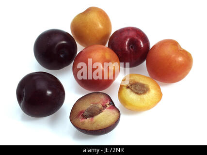 Prugne rosse e giallo di prugne, Prunus domestica, sfondo bianco Foto Stock