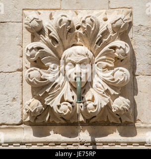 Gargoyle placca e tubo di acqua sul grande fontana di Onofrio entro le mura della Città Vecchia di Dubrovnik in Croazia Foto Stock