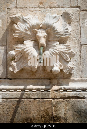 Gargoyle placca e tubo di acqua sul grande fontana di Onofrio entro le mura della Città Vecchia di Dubrovnik in Croazia Foto Stock