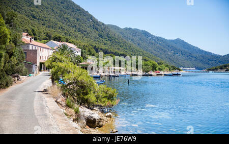 Il piccolo villaggio di pescatori di Soline all'ingresso del Jezero laghi nel Parco Nazionale di Mljet Croazia Foto Stock