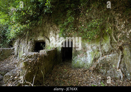 L'Italia, Toscana, La Maremma, Sorano, tempio tomba, Foto Stock