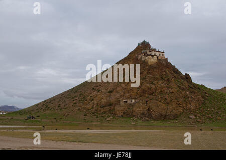 Chiu chiostro nel lago Manasarovar, west Tibet, Asia Foto Stock