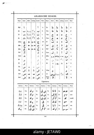 'DAS Buch der Schrift' di Faulmann è un libro dedicato allo studio dei sistemi di scrittura, che esplora lo sviluppo di vari scritti e la loro importanza culturale in diverse civiltà. Foto Stock