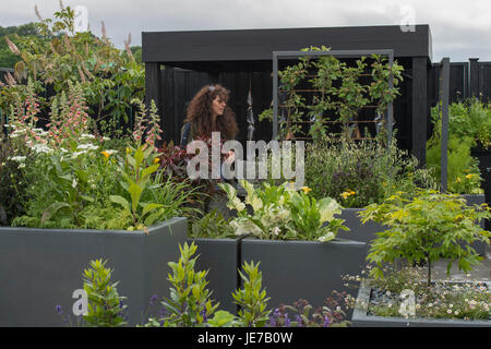 Designer camminando tra letti sollevata in festa mobile giardino" al primo RHS Chatsworth Flower Show, la Chatsworth House, Derbyshire, Inghilterra, Regno Unito. Foto Stock