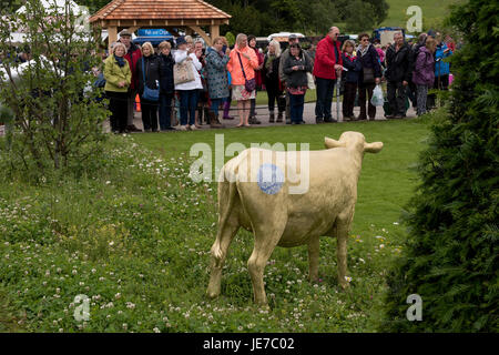 I membri del pubblico la visualizzazione di "esperienza del Peak District & Derbyshire Giardino' - RHS Chatsworth Flower Show, la Chatsworth House, Derbyshire, Inghilterra, Regno Unito. Foto Stock