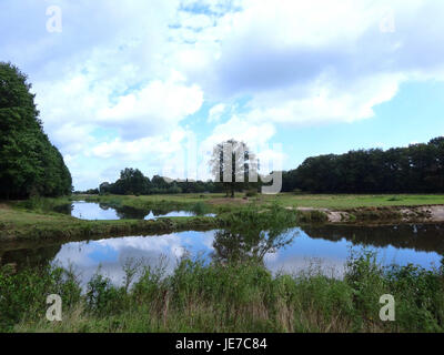 Il titolo '20130912 Beneden-Regge nabij Lemele' si riferisce ad una fotografia scattata nei pressi di Lemele, Paesi Bassi, il 12 settembre 2013, che mostra il fiume Beneden-Regge. L'immagine evidenzia il tranquillo paesaggio rurale con il fiume che scorre. Foto Stock