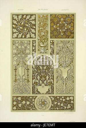 Un'opera di Anton Seder con ghiande (Eicheln), che dimostra il suo interesse per i soggetti naturali e l'illustrazione dettagliata nell'arte botanica. Foto Stock