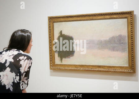 Vancouver, Canada. Il 22 giugno, 2017. Un visitatore ammira un dipinto durante un'anteprima del 'Claude Monet il Giardino Segreto " mostra alla Galleria d'Arte di Vancouver a Vancouver, Canada, 22 giugno 2017. Il 'Claude Monet il giardino segreto" sarà vetrina 38 dipinti che sono considerati come master Impressionismo Claude Monet più notevoli collezioni. La mostra è prevista per il periodo dal 24 giugno al 1 ottobre. Credito: Liang Sen/Xinhua/Alamy Live News Foto Stock