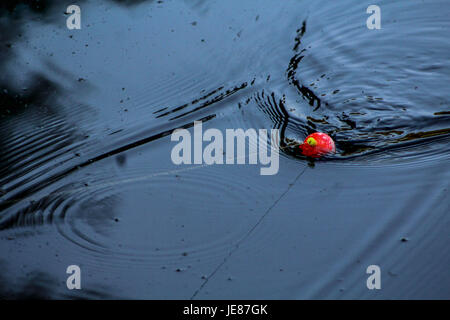 La pesca Bobber in acqua. Foto Stock