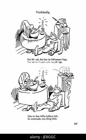 Un'immagine da 'Busch Werke v3', pagina 245, una pubblicazione che presenta varie illustrazioni botaniche. Questa pagina descrive probabilmente specie vegetali o studi botanici della serie. Foto Stock