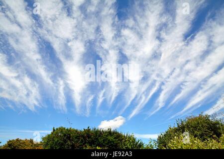 Insolito cirrus i modelli cloud Foto Stock