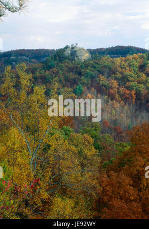 Courthouse Rock, Red River Gorge Area, Daniel Boone National Forest, Kentucky 10 09 Foto Stock