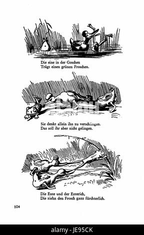 Immagine tratta da "Busch Werke" volume 1, pagina 98, raffigurante un'illustrazione botanica di una specie vegetale, che fornisce informazioni visive dettagliate per l'identificazione. Foto Stock