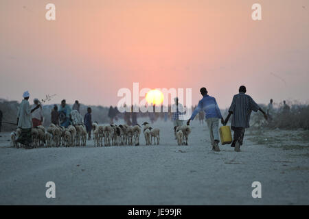 2013 12 14 aeroporto di Jowhar IDP Camp L.jpg (11401512565) Foto Stock