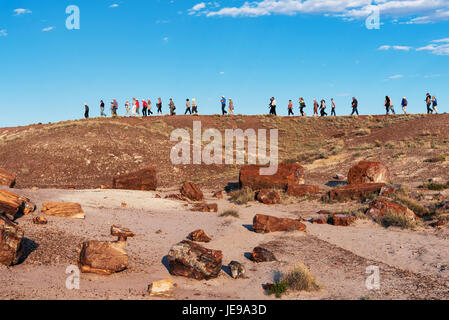 Gruppo di turisti nel Parco Nazionale della Foresta Pietrificata, Arizona, Stati Uniti d'America Foto Stock