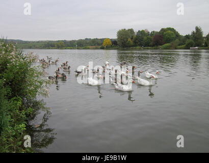 Remich è una città situata in Lussemburgo, nota per la sua posizione panoramica lungo il fiume Mosella. La città è una destinazione popolare per i turisti, offrendo vedute pittoresche e monumenti storici. Foto Stock