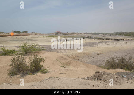 2014 08 02 Jazeera Training 06.jpg (12403612963) Foto Stock